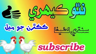 😜Nahto Khari| kakran jo mal sindhi comedy video