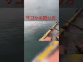 秋の風物詩 関門海峡