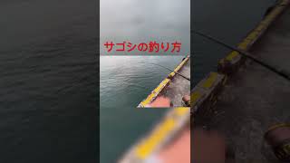 秋の風物詩 #関門海峡