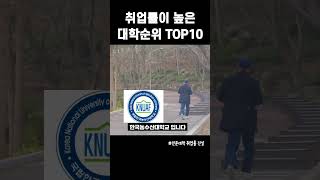 이게 진짜 대학교 취업률 순위 (전문대학 취직 TOP10)