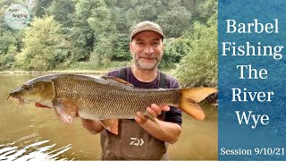 Barbel Fishing A Dropping River - River Wye - 9/10/21 (Video 277)