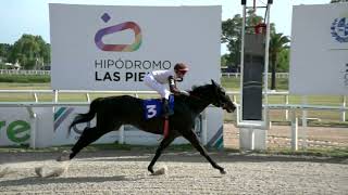 211230 c06 - GRAND LOUIS - HIPODROMO LAS PIEDRAS