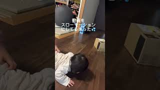 2歳になったお姉ちゃんは妹が大好き💕くっつきすぎて妹を泣かせてしまう