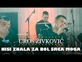 Uros Zivkovic - Nisi znala za bol srca moga (orkestar Gorana Todorovica)