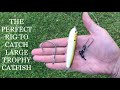 How to make the perfect catfish rig