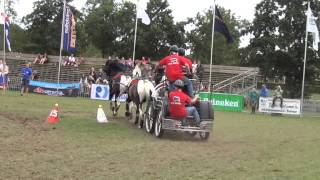 paarden marathon driezum/wouterswoude 2013 ( H1 )