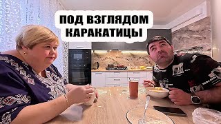 ОЛЬГА УРАЛОЧКА LIVE | Каждый божий день под взглядом каракатицы | Музыкальный обзор