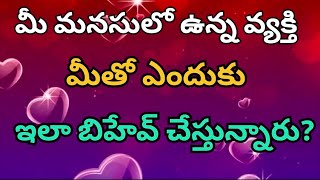 మీ మనసులో ఉన్న వ్యక్తి ఎందుకు ఇలా బిహేవ్ చేస్తున్నారు?tarotreading in telugu