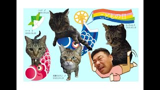 保護猫の楽園　5月8日の無人ライブ　夜のポンハウスの社員達