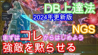 #0 DB上達法~2024年のDB~【PSO2NGS】Raアサルト使いがDB使ってみた