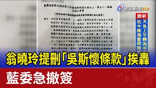 翁曉玲提刪「吳斯懷條款」挨轟 藍委急撤簽