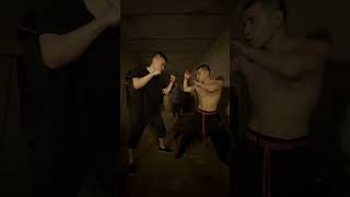 kung fu TieShanKao#shorts #郭大侠 #中国功夫