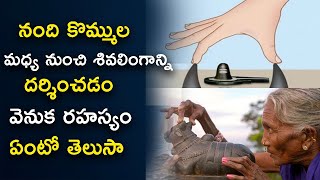 Why We Should See LORD Shiva Through NANDI HORNS Revealed | Interesting Facts#Dharmapatham