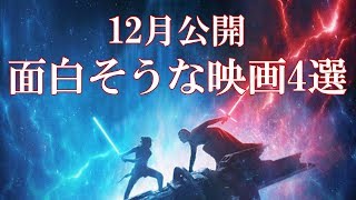 12月の面白そうな新作映画4選!!