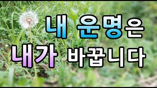 [내운명은 내가 바꿉니다] 확언 반복 따라해보기, 한문장이 끝나면 따라 해볼수 있도록 텀을 두고 만들었습니다, 운명을 바꾸는 자기암시 #운명을 바꾸는 확언 명상