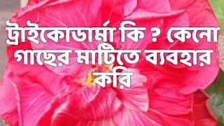 🔥  What is Trichoderma  ট্রাইকোডার্মা কি ? উপকারী ছত্রাক না কি ক্ষতিকারক ছত্রাক জানেন কি ? 🔥