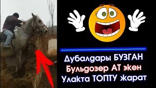 Мына УКМУШ: Бульдозер БОЛУП топту БУЗГАН тулпар БОЛЧУДАЙ | Элдик Роликтер | Акыркы Кабарлар