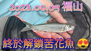 ［愛釣魚］2023.06.09 解鎖我的第一條苦花魚 #烏來福山溪釣 #南勢溪