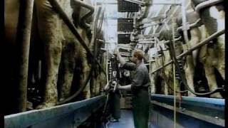 Family Farm Parlors | DeLaval Automated Milking Solutions | DeLaval