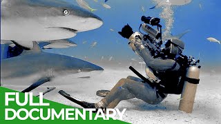Shark Nation | Blue Realm | Free Documentary Nature