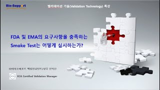 제약 바이오 GMP 제조소 CCS(Contamination Control Straegy)_기류 패턴 확인 시험(Smog Test) 실시 방법 및 사례_Part2