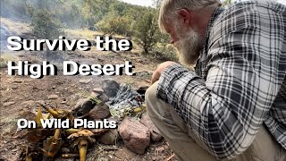 Surviving the High Desert: Thriving on Wild Plants Part 1 (Minimal Gear Including a Pick Mattock)
