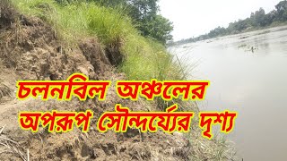 চলনবিল অঞ্চল এর অপরূপ সৌন্দর্য্যের দৃশ্য। Cholonbil।  ALI TV BD