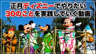 【30のこと】元旦当日に東京ディズニーランドでひたすらやりたいことを実践していく!/お雑煮も食べたいし、新年の挨拶もしたい。