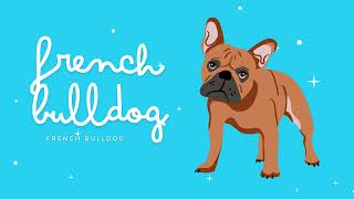 Different Breeds of Doggies • A Flash of Vocabulary • Educational Videos for Toddlers and Kids