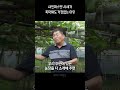 샤인머스켓 시세가 폭락해도 전혀 걱정 없는 이유