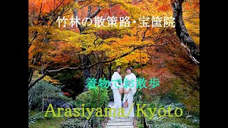 2024.12.01　紅葉の嵐山　着物で散策　竹林の散策路＆宝筐院