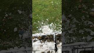 Big snowball splat