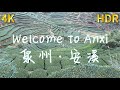 [4k,60fps] Visit Anxi County, capital of Oolong Tea, and origin of Qingshui master 安溪：乌龙茶之都，千年清水祖师之源