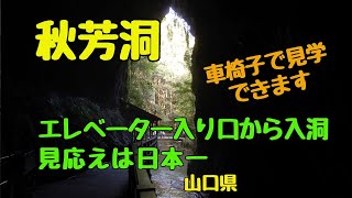 【 秋芳洞】日本一の大鍾乳洞　石灰岩が造る不思議　正面入り口からはバリアフリー（山口県美祢市）