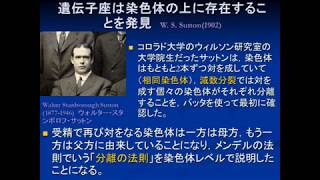 【動物進化学入門】第003回 「初心者のためのサバイバル生物学」授業動画 第03回：進化学理解予備知識；いろいろな遺伝；冨山清升の講義