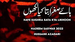 Haye sughra bata kia likhoon | nadeem sarwar live karachi 2022 | ali shanawar ali jee live noha 2022