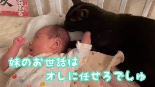 《愛梨悠翔のお散歩＆おまけのおはぎ 赤ちゃんの毛繕い》 ピレバニ グレートピレニーズ