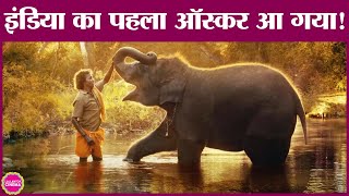 Oscar Awards 2023 में India का खाता खोला Elephant Whisperers ने, देशभर में ख़ुशी का माहौल | Oscars