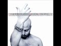 Dhafer Youssef - Digital Prophecy - AYA