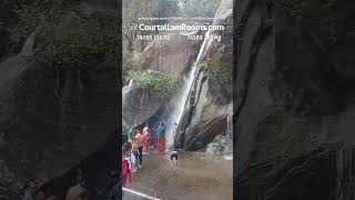 ஆர்ப்பரித்து கொட்டும் ஐந்தருவியின் இன்றைய நிலவரம் 🥶🤩|FiveFalls update | FiveFalls status | குற்றாலம்