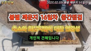 2025년 봄벌 깨운지 16일차 중간점검#beekeeper #honeybee #꿀 #양봉 #화분#로얄제리#프로폴리스#분양     (우주양봉 이근일)