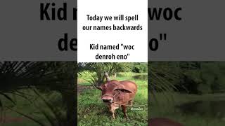 kid named