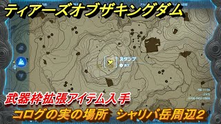 ティアキン　コログの実の場所　シャリバ岳周辺２　武器枠拡張アイテム入手　＃１３２６　【ゼルダの伝説ティアーズオブザキングダム】