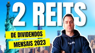 2 REITS QUE PAGAM DIVIDENDOS MENSAIS