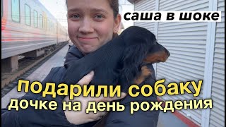 ПОДАРИЛИ ДОЧКЕ СОБАКУ СЮРПРИЗОМ! Саша в Шоке!