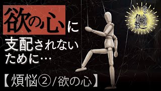 人間は常に 欲を満たす事しか考えていません《煩悩2》【なごやか仏教37】