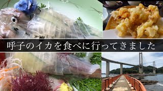 アラフィフVLOG【呼子にイカを食べに行ってきた】イカの活き造り・イカの天ぷら・呼子大橋