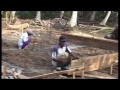 2006 october lq tsunami rebuilding lions clubs videos