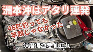 【洲本沖 タチウオ 釣り】魚探と前アタリ特集(後編) - 46匹釣っても竿頭じゃなかった！みんなどんだけ～ - 2024/12/11 須磨浦漁港 - 仙正丸