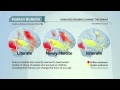 Science Bulletins: How Does Reading Change the Brain?